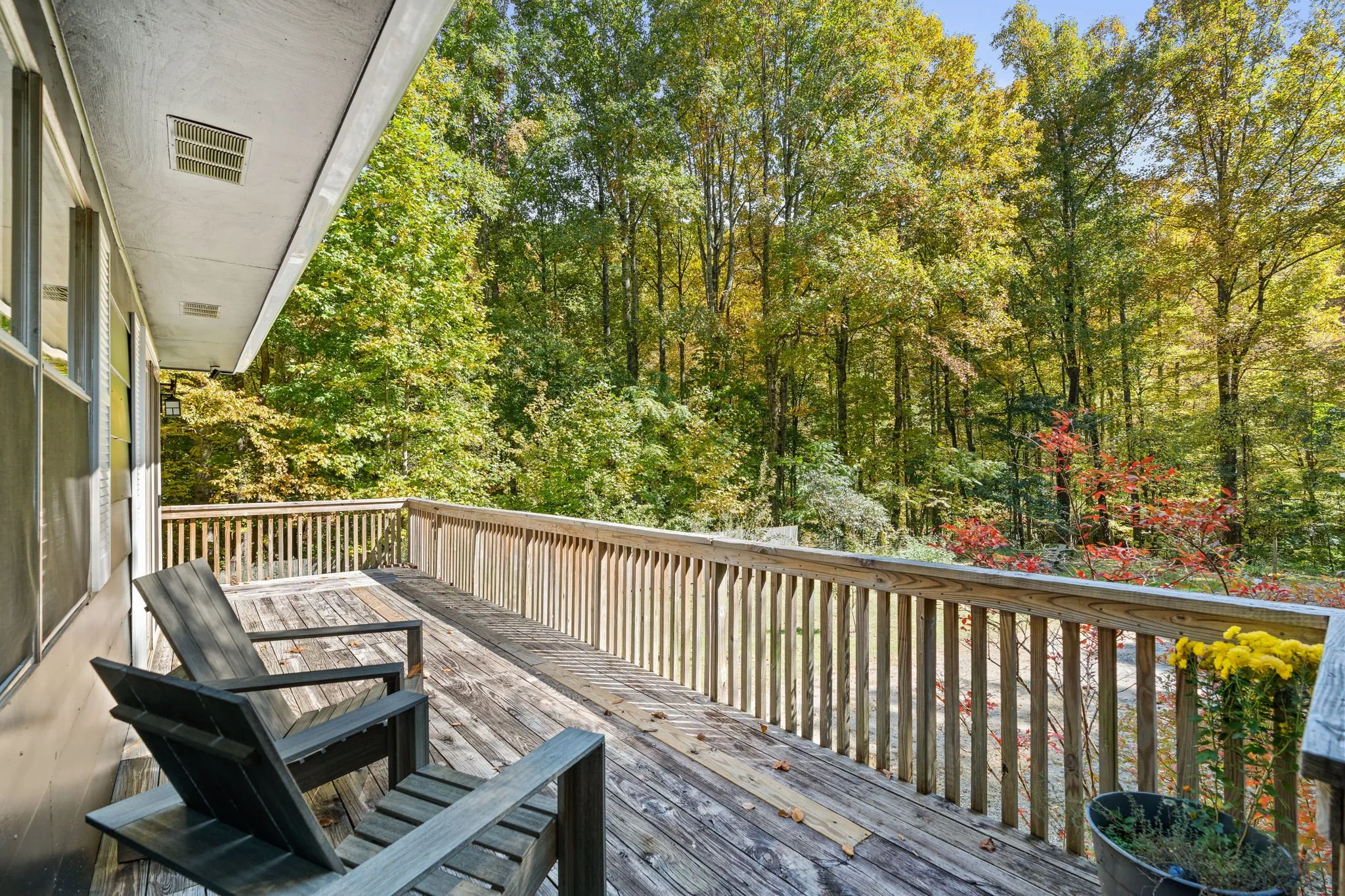 Deck overlooking fall woods at the Candler, NC property